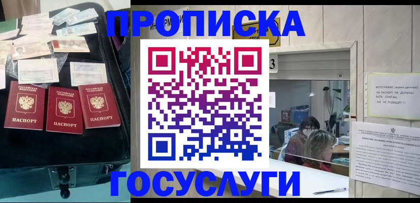 найти адрес прописки в Протвино